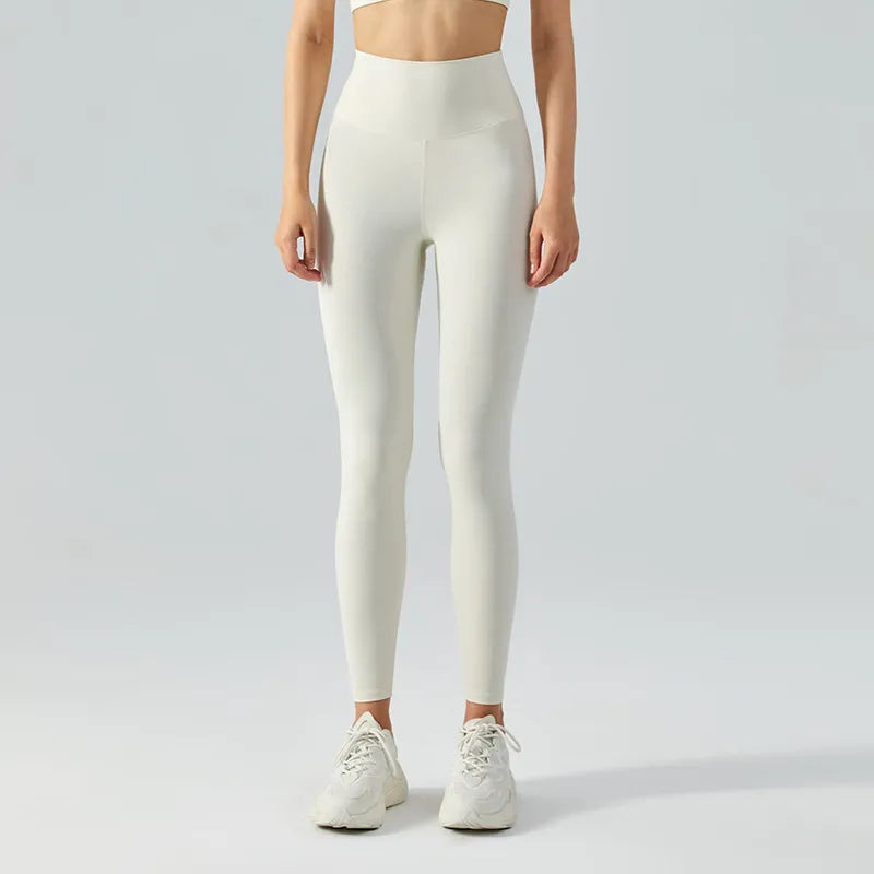 47087155609916|47087155708220|47087155740988|47087155773756