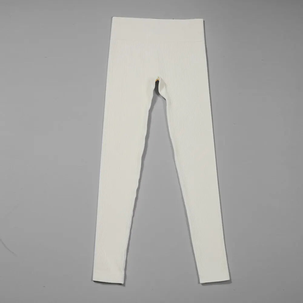 48917743239484|48917743272252|48917743305020