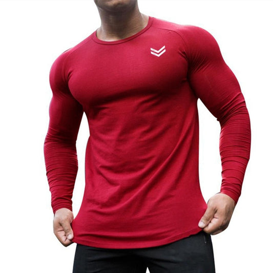 NEW Long sleeve Cotton T-shirt Men Gyms Fitness Workout Skinny t shirt Summer Male Tees Tops Sport Running T-shirt men Clothing